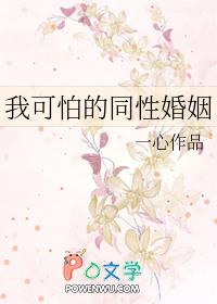 我可怕的同性婚姻